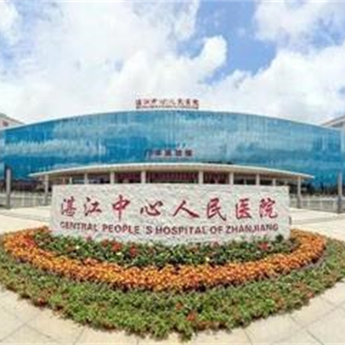湛江中心人民医院智能化系统运维支撑服务项目